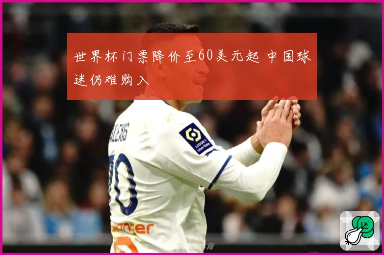 世界杯门票降价至60美元起 中国球迷仍难购入