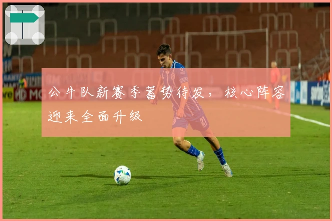 公牛队新赛季蓄势待发，核心阵容迎来全面升级